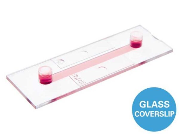 μ-Slide I Luer Glass Bottom.jpg