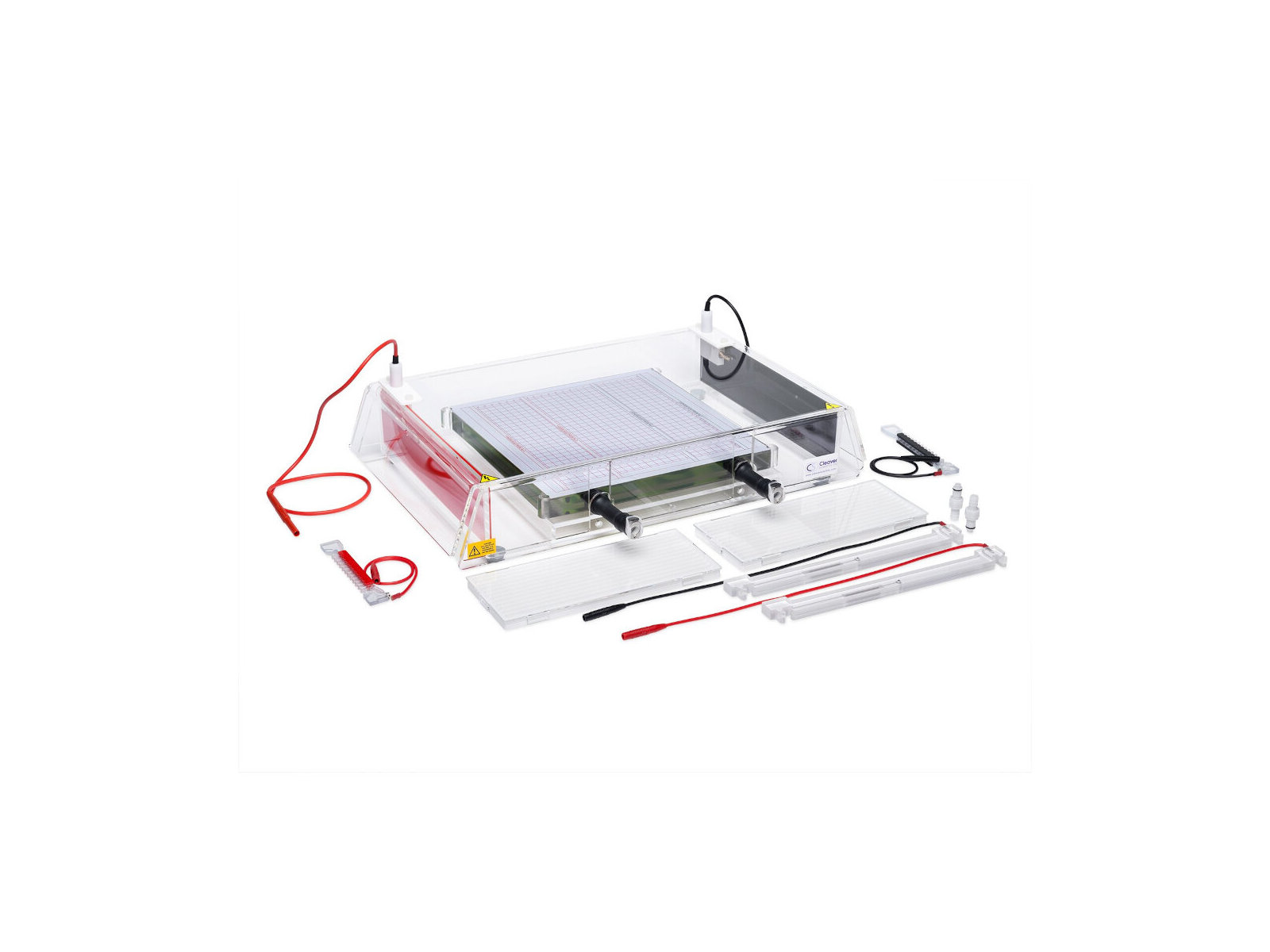 2d Isoelectric Focusing