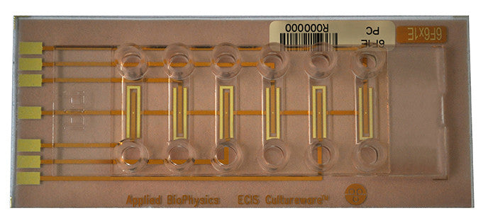 6F1E Flow Array 1024x1024 1