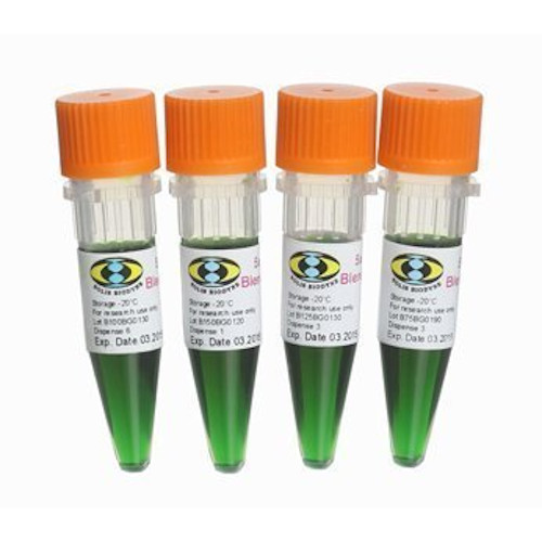 7101 Blend Web 1