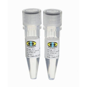 5x FIREPol® Master Mix with 12.5 mM MgCl2