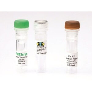 FIREScript RT cDNA syntesis MIX