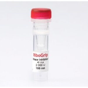 RiboGrip RNase Inhibitor