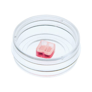 Culture-Insert 2 Well in µ-Dish 35 mm