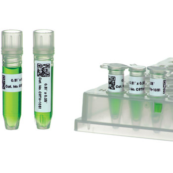 20.6mm x 7mm, Thermal Transfer Cryo-Tags, 2000/roll