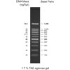 100bp DNA ladder, 100-1500bp