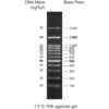 100bp DNA ladder, 100-3000bp