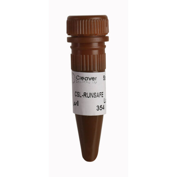 CSL-RUNSAFE-1.WEB.jpg