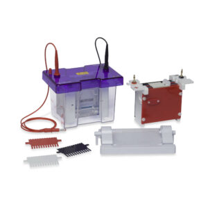 omniPAGE Mini Packages - omniPAGE Mini - PAGE and High Intensity Blotting Package