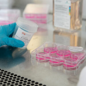 Cell Culture & Cell Culture Analysis