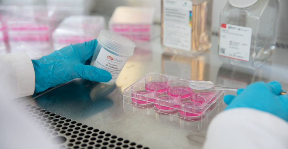 Cell Culture