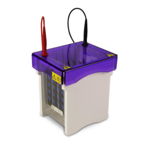 electroBLOT Wet Blotters