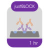 EZEE JUSTBLOCK Western Blocking solution and signal enhancer, 500ml