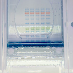 Vertical Electrophoresis Systems