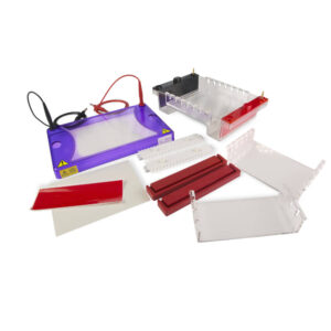 multiSUB Choice, Wide Midi Horizontal Electrophoresis System - multiSUB Choice with 15 x 7, 10 & 15cm Gel tray