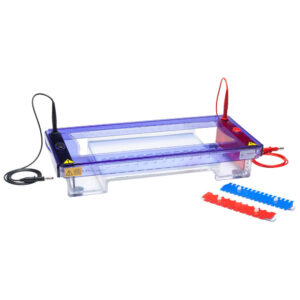 multiSUB Choice, Wide Midi Horizontal Electrophoresis System - multiSUB Choice Stretch with 15 x 25cm Gel tray
