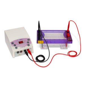Maxi Horizontal Electrophoresis Package