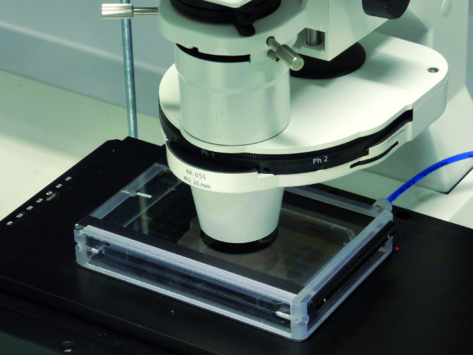Microscope Environmental Control