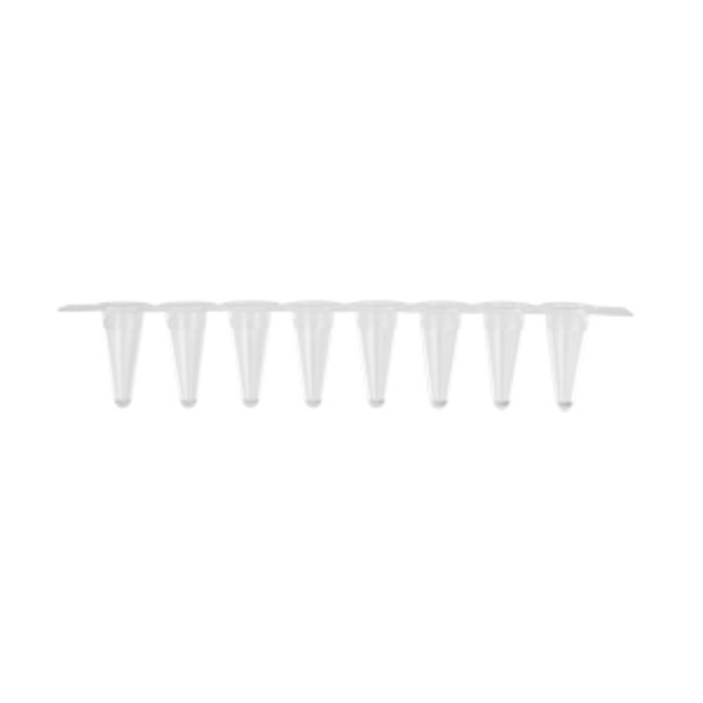 PCR 0108 LP RT C 1