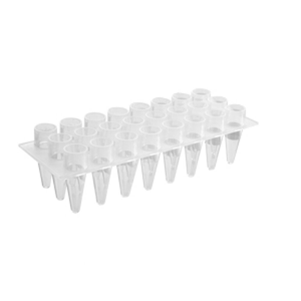 PCR 24 C 1