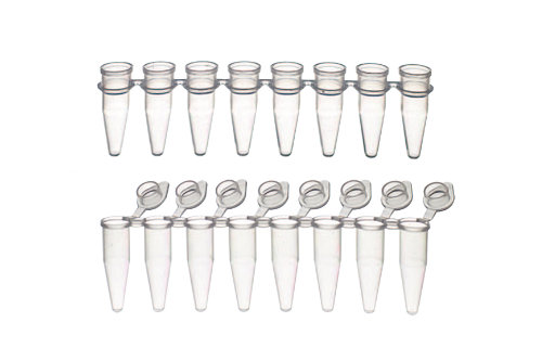PCR Tubes