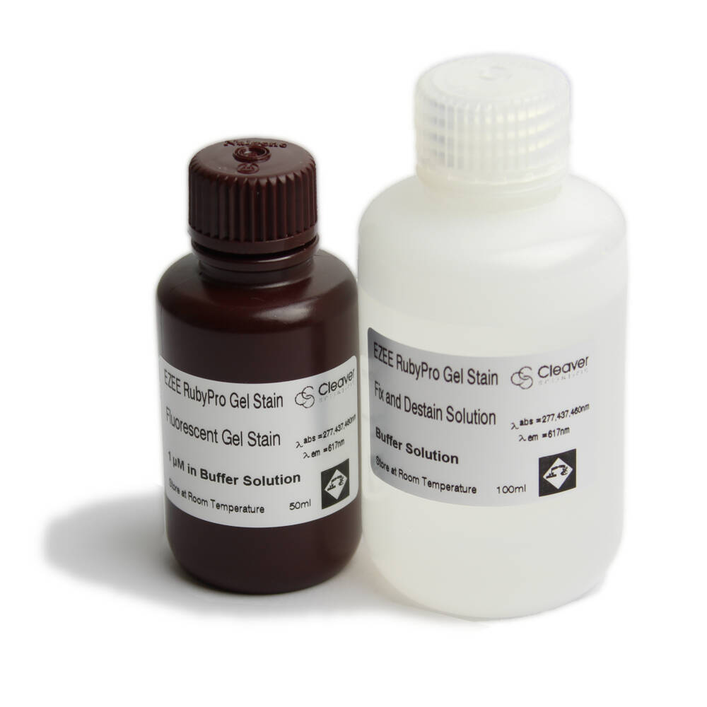 EZEE Rubypro protein staining kit