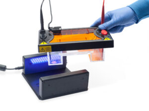 multiSUB Midi DUO with mini runVIEW gel viewer