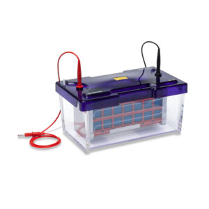 omniBLOT Blotter - omniBLOT Mini Wide 20 x 10cm Blotting System, including 4 cassettes