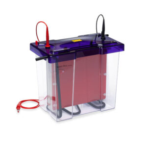 omniBLOT Blotter, High Intensity - omniBLOT Maxi High Intensity