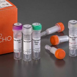 DNA extraction from tissue