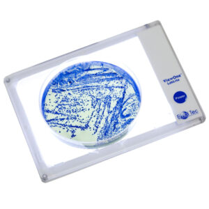 ViewOne™ Lablite Illuminator