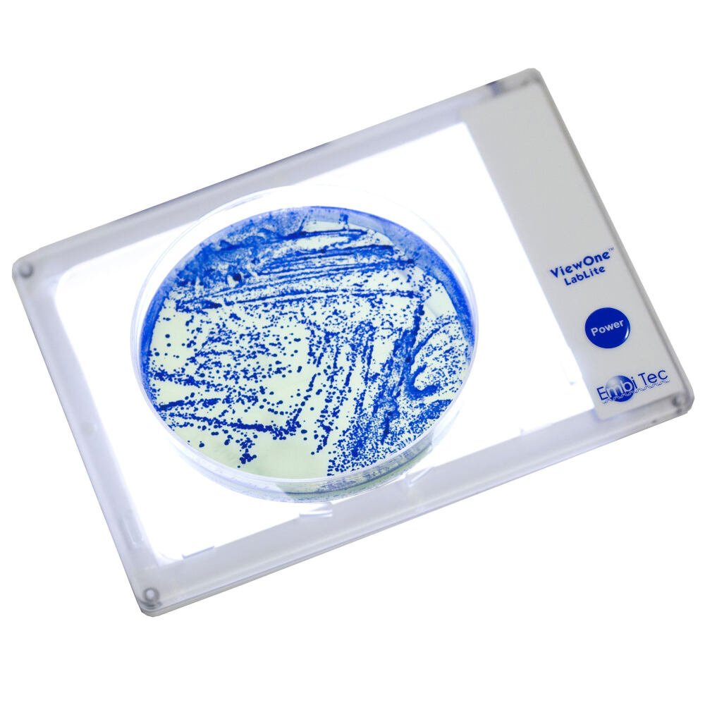 VL 1000 Web 1