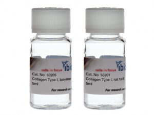 Collagen Type I