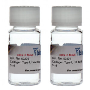 Collagen Type I