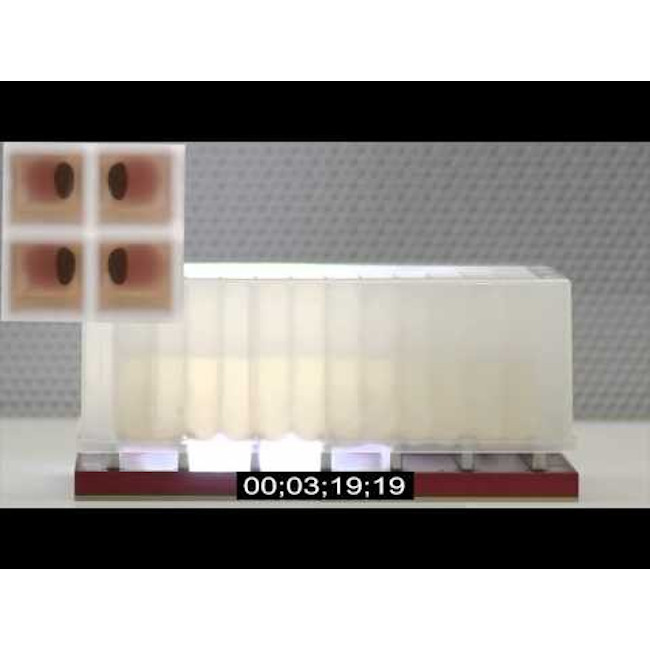 Magnetic Bead Separation Block for 96 well microplates, standard and deep well, 7 bar magnets, center magnet with notch, alternating polarity, red anodized aluminum magnet frame, SBS footprint, includes high profile Registration Base VP