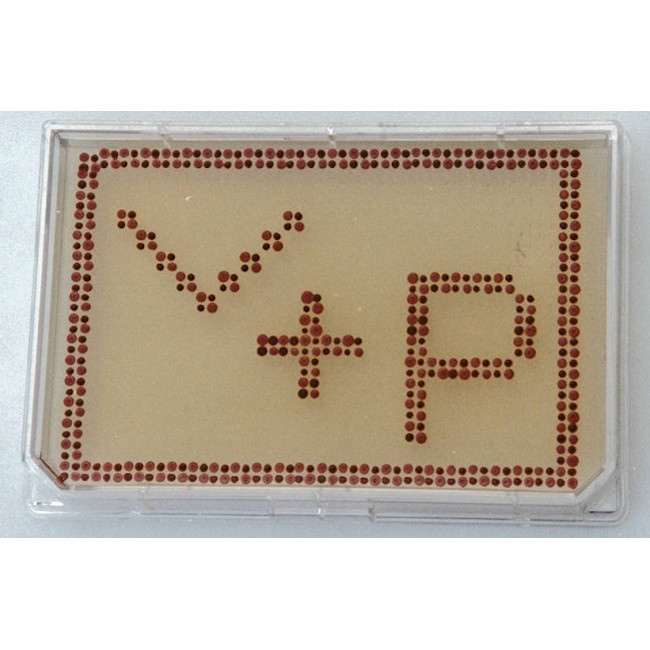 Alignment Jig for Registering Multi-Blot Replicators to Omni Trays for making Arrays on Agar