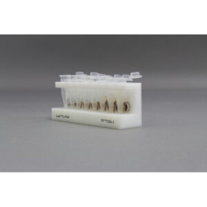 HDPE 8 place Magnetic Separation Rack for 1.5 and 2.0 ml Microcentrifuge Tubes, with a 8 NdFeB Magnets 10 mm in Diameter, Pellet located 1/6 of the Way up the Tube