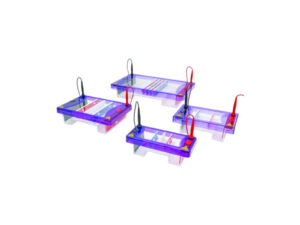 Multisub Horizontal Gel Systems 1