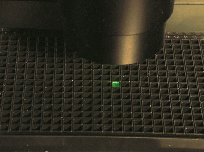 μ-Plate 384 Well Black Glass Bottom