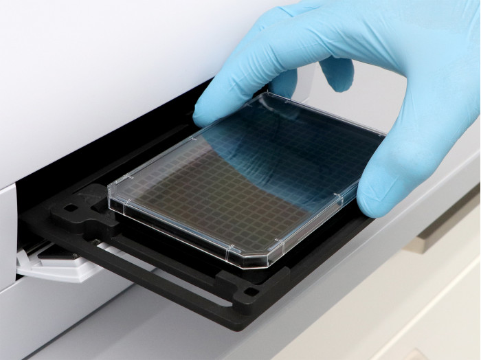 μ-Plate 384 Well Black Glass Bottom