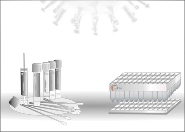 EchoLUTION Viral RNA/DNA Swab 96 Kit Plus