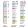 EZEE-12, 12 Pre-stained Proteins with molecular weights from 11 to 250 kDa 1x500ul vial