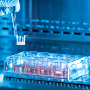 LabSkin 12-well plate constructs: With 1.1 cm2 surface