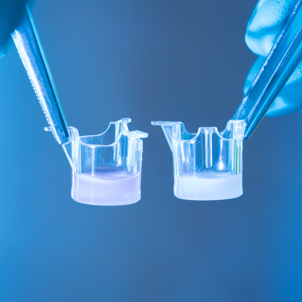 LabSkin 12-well plate constructs: With 1.1 cm2 surface