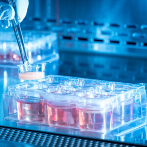 LabSkin 6-well plate constructs: With 4.5 cm2 surface