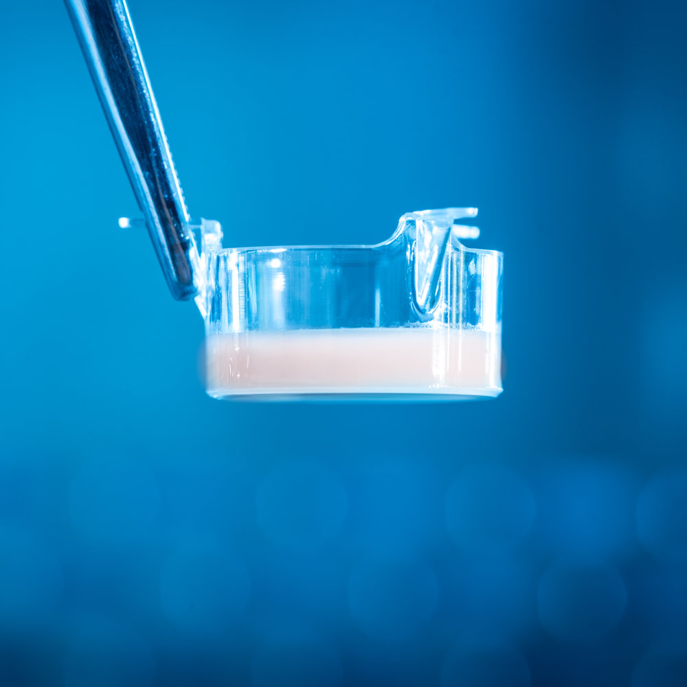 LabSkin 6-well plate constructs: With 4.5 cm2 surface