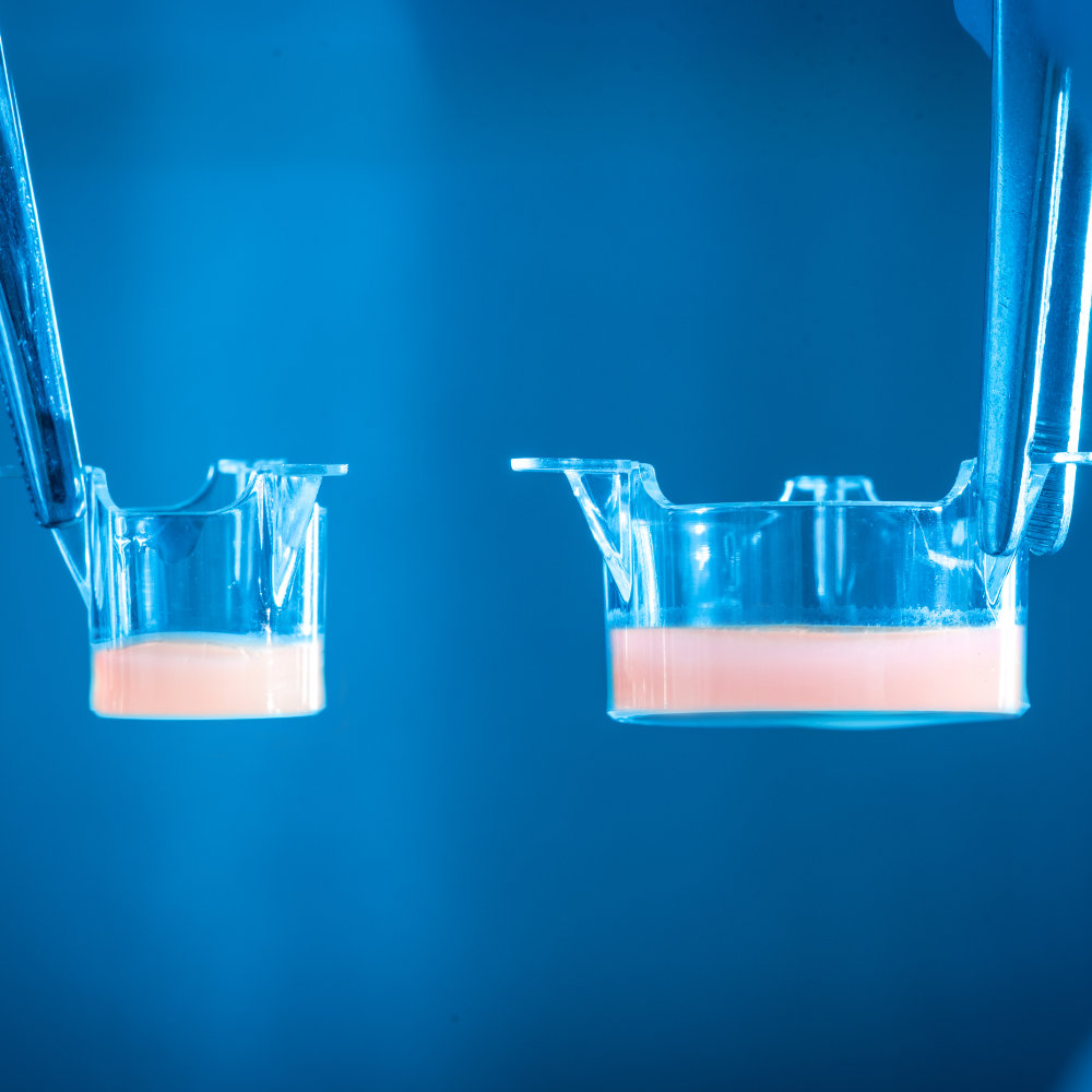 LabSkin 6-well plate constructs: With 4.5 cm2 surface