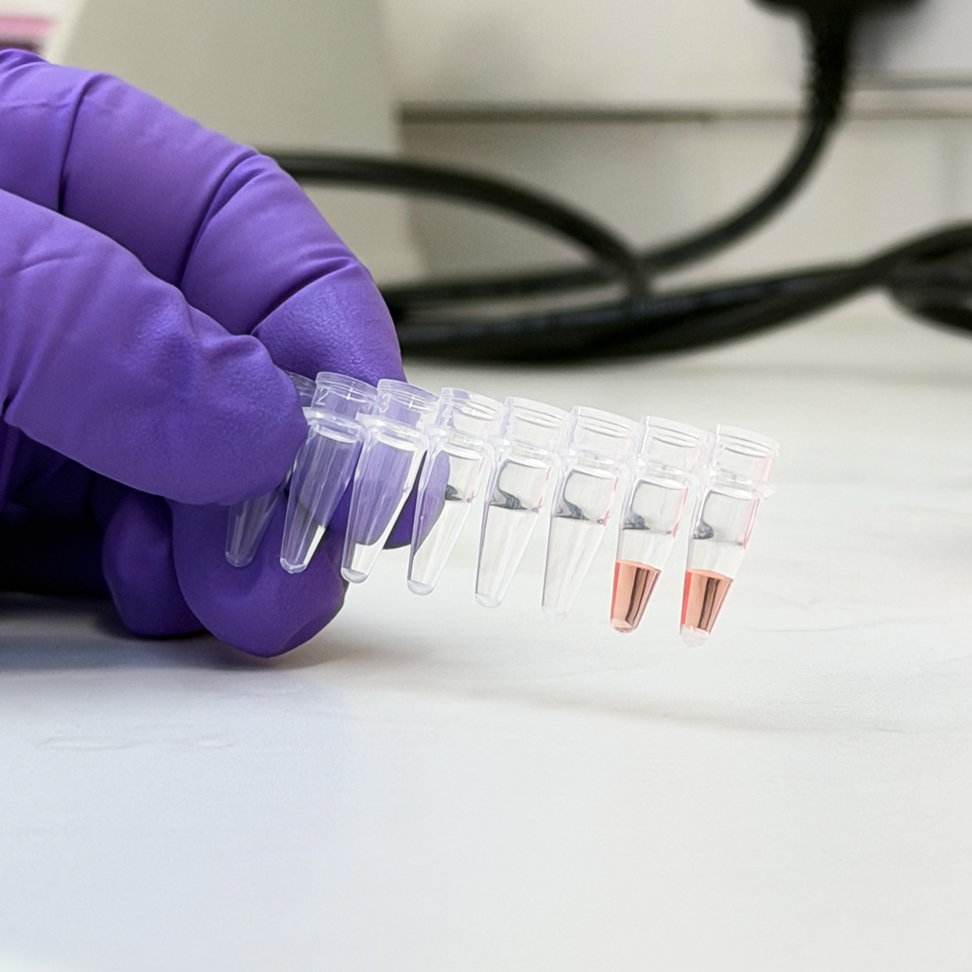 ThistlELITE TruPCR 0.2ml Thin Wall 8-Strip PCR Tubes, w/o caps
