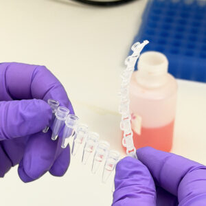 ThistlELITE TruPCR 0.2ml Frosted Flat 8-Strip Caps