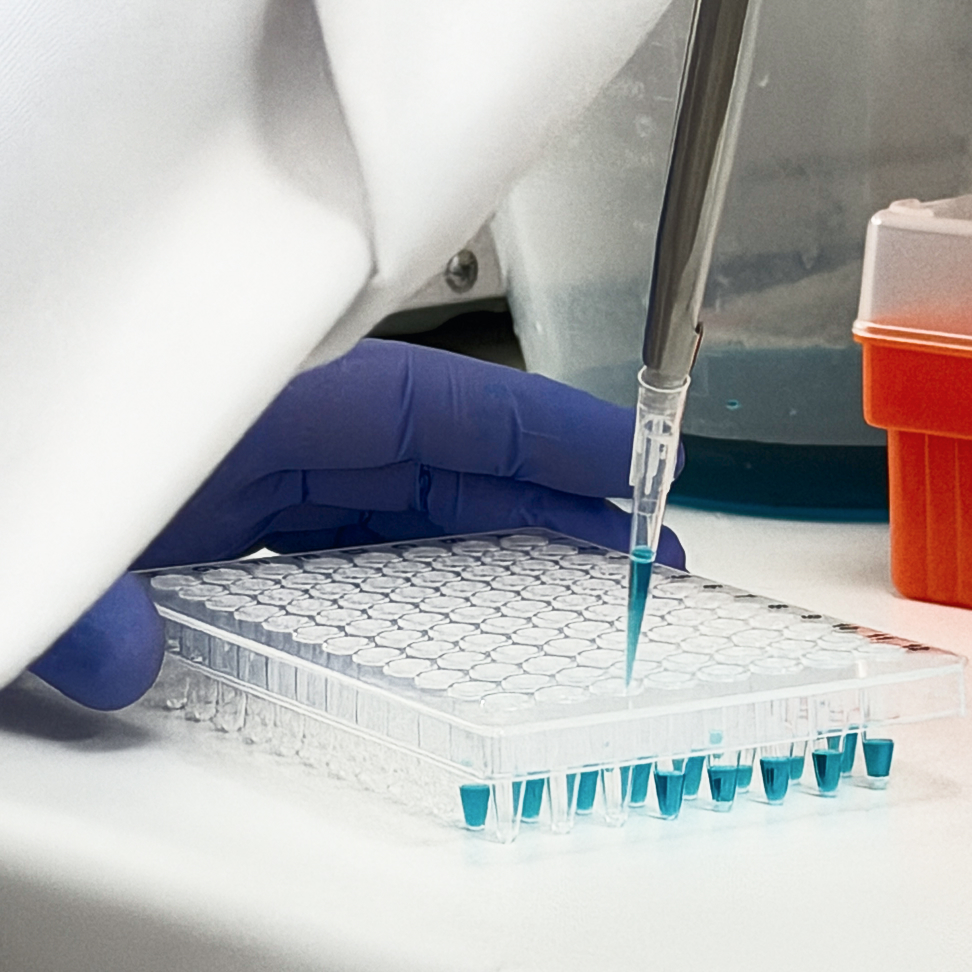 ThistlELITE TruPCR 96-Well PCR Plate, Polypropylene, Half Skirt , Clear, Single Notch at A12